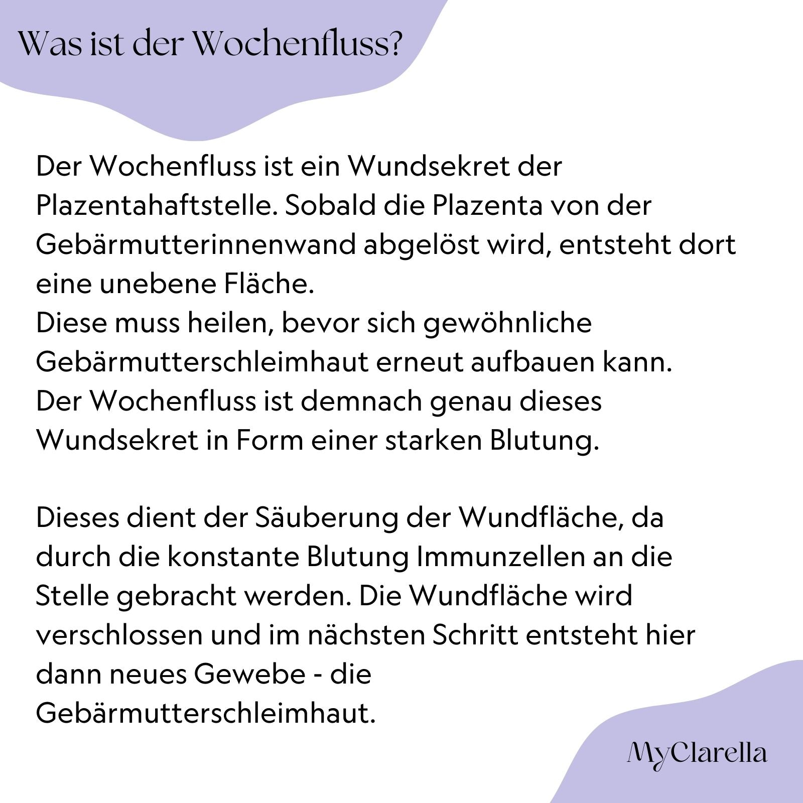 Bio-Wochenbetteinlagen (10er Pack) - MyClarella